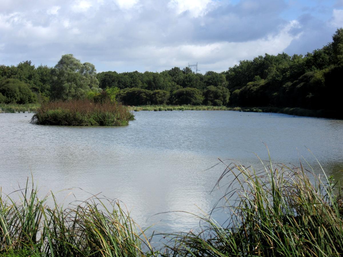 Louresse-Rochemenier Parc De Launay מראה חיצוני תמונה